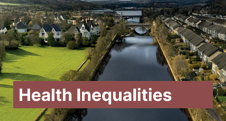 Annual Report Of The Director Of Public Health 2024 Cover