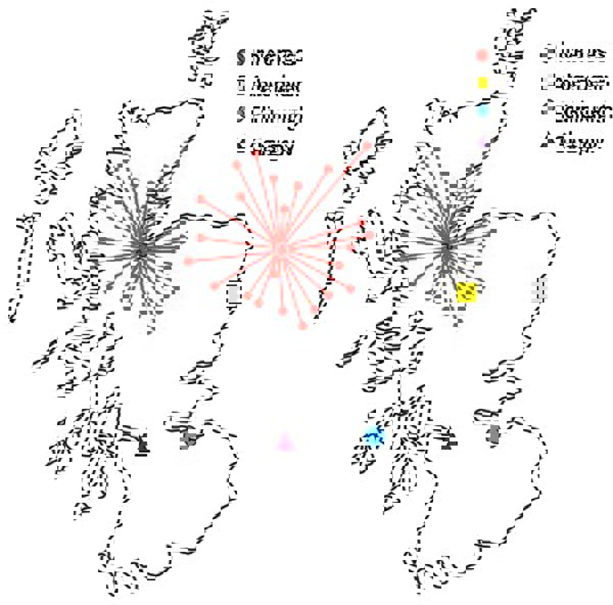 map showing prehospital immediate care and trauma service areas